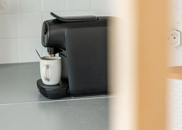 Apartment Casa Nena, Nid Douillet , Quartier Bsb, Republique Dijon